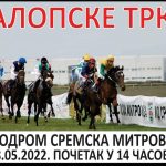 received_747339993093015