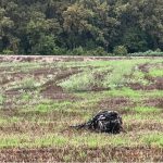 IMG_20220902_125019