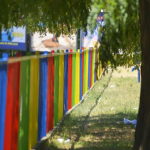 FOTO: Milovan Milenković