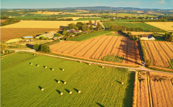 KOLIKO KOŠTA SRPSKA ZEMLJA: Oranice u Sremu tri puta skuplje nego u Hrvatskoj