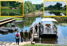 INOVACIJE koje dišu s prirodom: POVRATAK ŽIVOTA u najlepša vlažna staništa Srbije