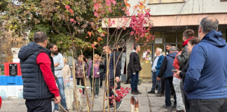 ZASADI DRVO, parkiraj na granama: MZ „MATIJE HUĐI“ rešila najveći problem u naselju