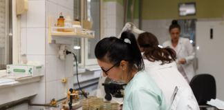 Delatnost Zavoda za javno zdravlje