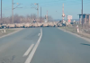 NESVAKIDAŠNJI PRIZOR: Ovce blokirale pružni prelaz!