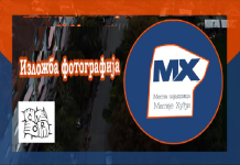 INOVATIVNO! Problem parkiranja i bahate vožnje rešavaju — izložbom fotografija