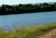 Uređuje se fruškogorsko jezero Dobrodol: DOBIJA PLAŽU I IZLETIŠTE