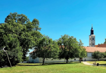 Znate li šta povezuje Beograd, Sremsku Mitrovicu i još osam gradova u Srbiji?