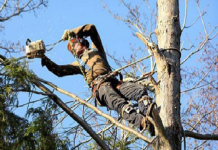 Ulica Đure Jakšića zatvorena u petak