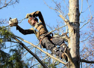Ulica Đure Jakšića zatvorena u petak