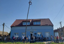 Stari slovački običaj: U Šidu se tradicionalno ruši majsko drvo