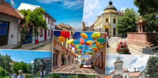 Sremci između sela i grada: Ko još želi da živi na selu?
