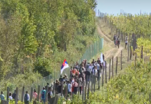 Šta se gradi i ograđuje u Nacionalnom parku Fruška gora?