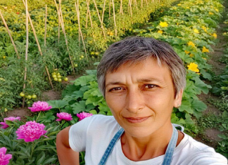 TEROR JAVNOG IZVRŠITELJA! Posle 175 dana provedenih u automobilu, Danka Šobot se vratila u svoju kuću