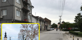 OVI LJUDI SU OSTALI NA SELU I NISU POGREŠILI: Kako se danas živi u Mačvanskoj Mitrovici, Noćaju i Kuzminu