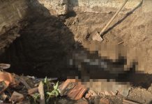 Horor kod Rume: Mučili muškarca do smrti, pa njegovo telo zakopali kod porodične kuće