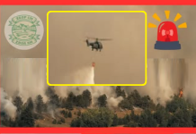 OD „PLJUVAČINE“ DO APELA ZA POMOĆ: Kad vatrogasci postanu preko noći heroji