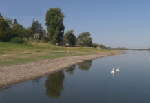 Oaza na Dunavu – Čerević nudi jedinstven odmor od gradske vreve