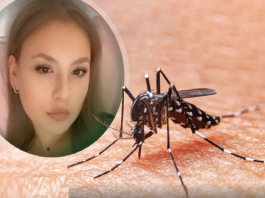 Aleksandra (25) je uspešno studirala, a onda je nakon ujeda komarca završila u komi