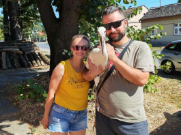Mladi Mitrovčani nakratko udomili rodu u svom dvorištu: Smeštaj u garaži, papaline za ručak