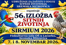 Najava izložbe sitnih životinja u Laćarku